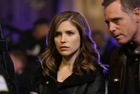 Картинки из сериала Полиция Чикаго